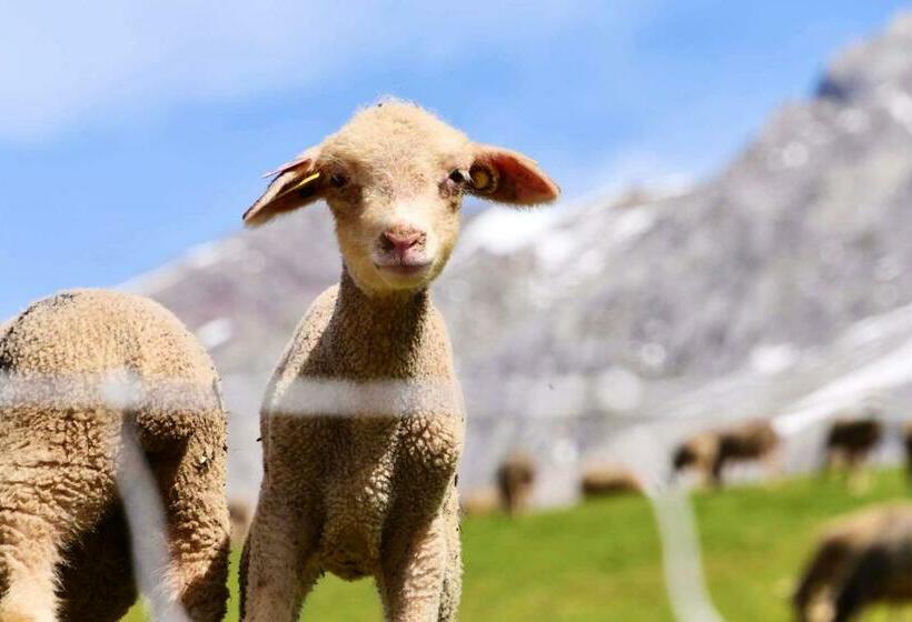 Studio Charmant Avec Vue Sur Les Pistes Le Devoluy 25 M²