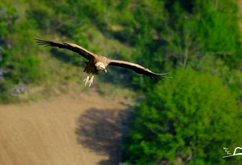 Studio Charmant Avec Vue Sur Les Pistes Le Devoluy 25 M²