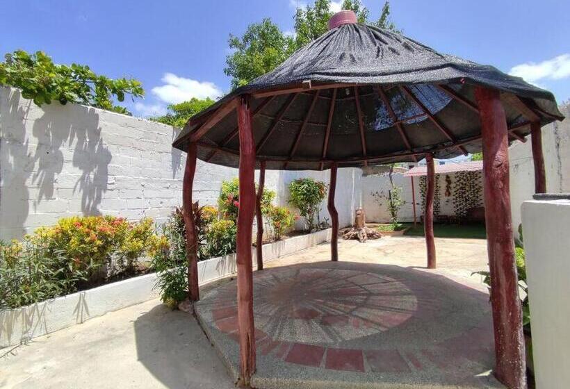 Alojamiento Entero, Casa Amplia, Patio, Aire