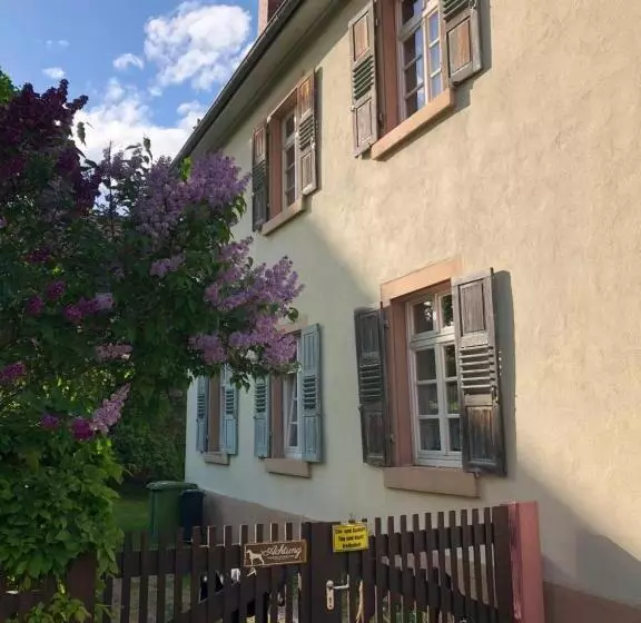 Altes Schulhaus Mutschelbach