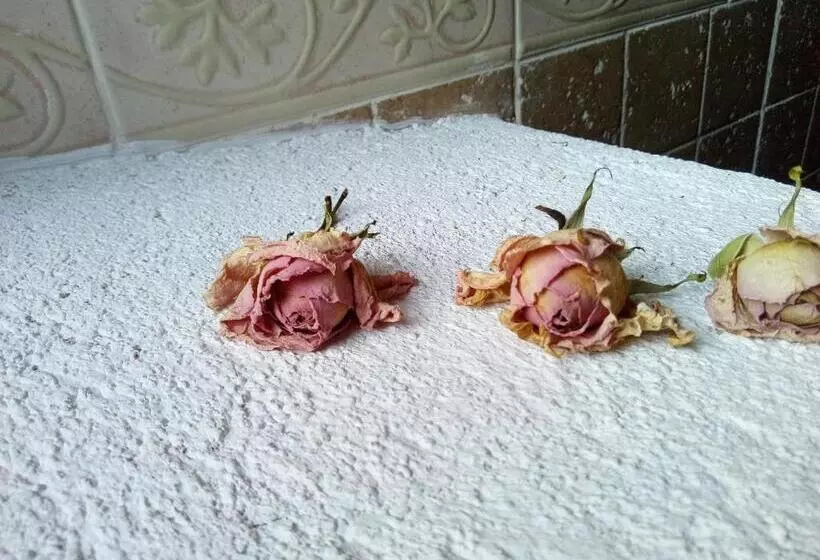 Posada Del Dulce Sueño