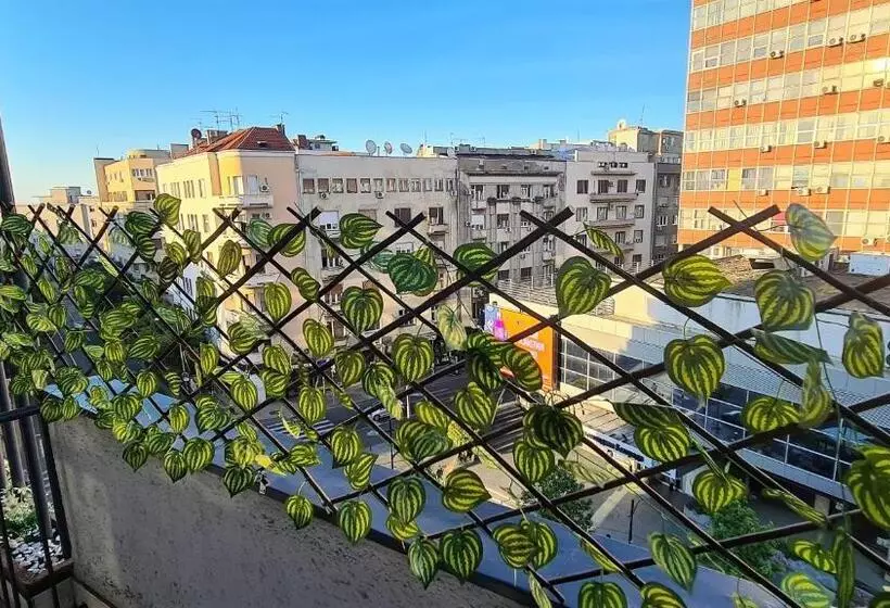 Windows City Apartment