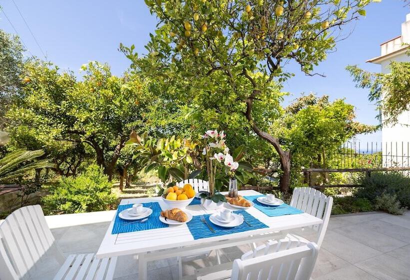 3031 Villa Meridia  Trilocale By Barbarhouse