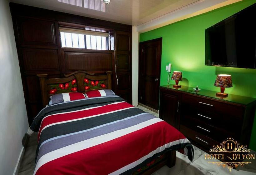 Hotel Hôtel D’lyon