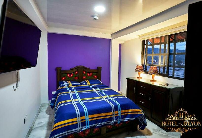 Hotel Hôtel D’lyon