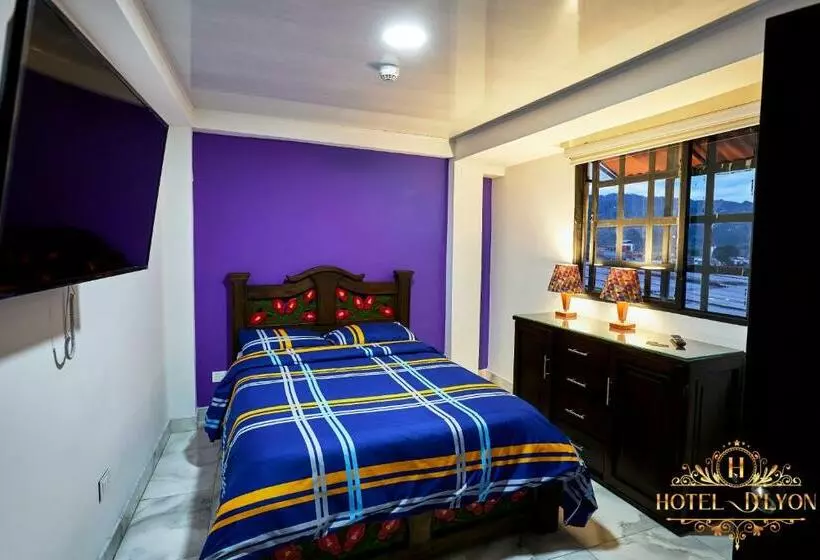 ホテル Hôtel D’lyon