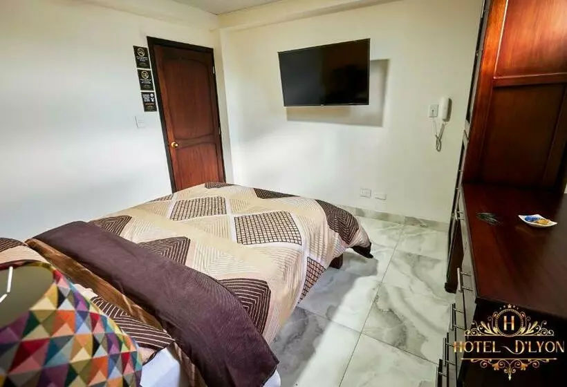 ホテル Hôtel D’lyon