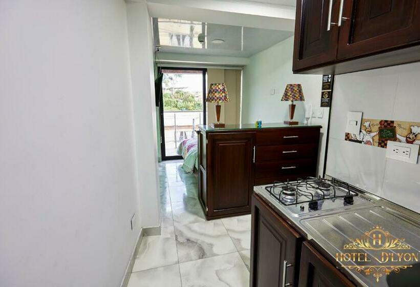 Hotel Hôtel D’lyon