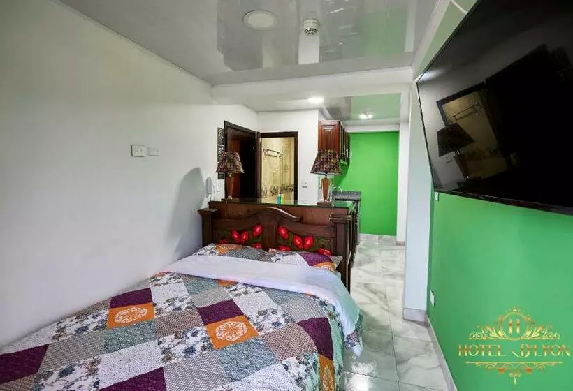 ホテル Hôtel D’lyon