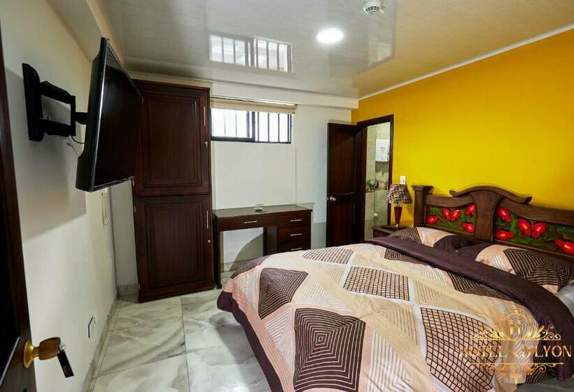 Hotel Hôtel D’lyon