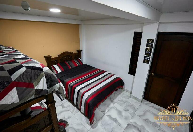 Hotel Hôtel D’lyon