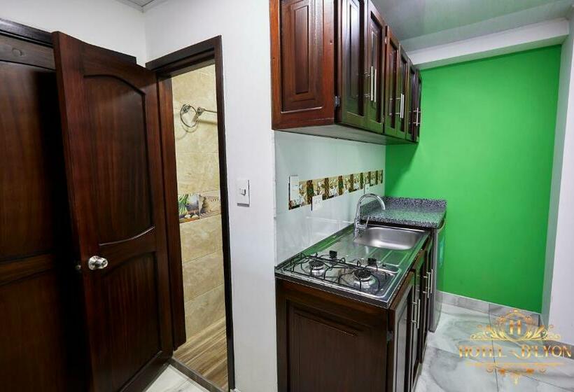 Hotel Hôtel D’lyon