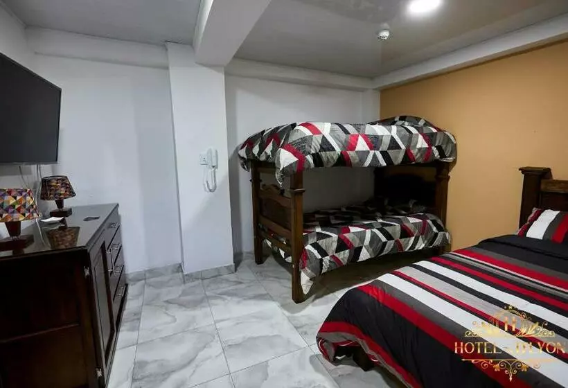 ホテル Hôtel D’lyon