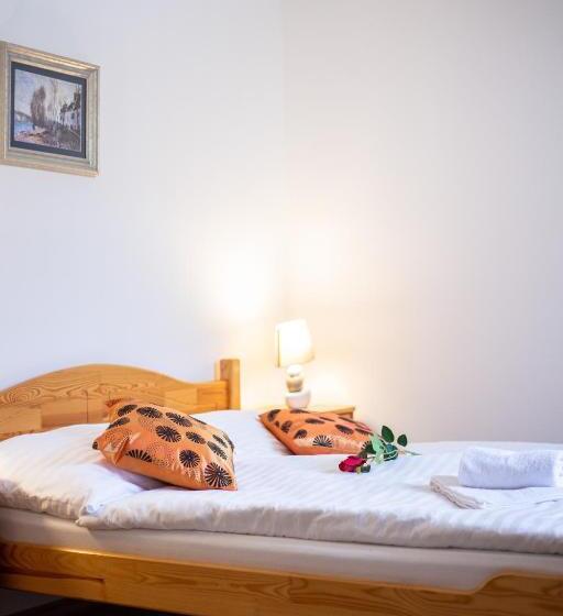 Пансион Penzión Palatín