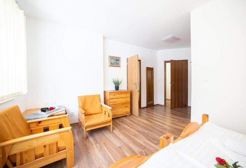 Пансион Penzión Palatín