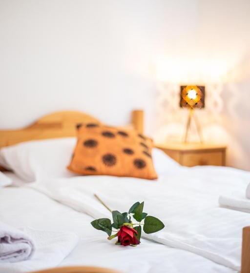 Пансион Penzión Palatín