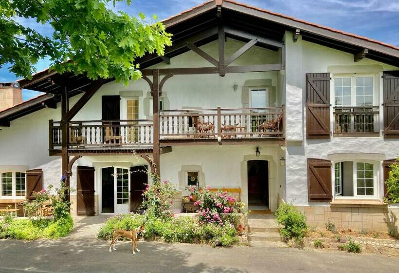 هاستل Amama Baita