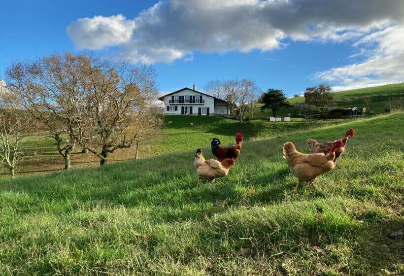 هاستل Amama Baita