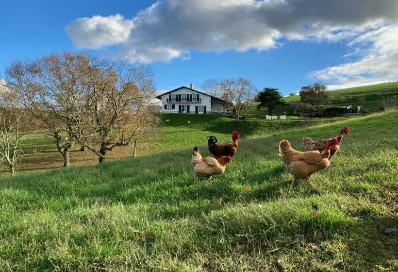 Retkeilymaja Amama Baita