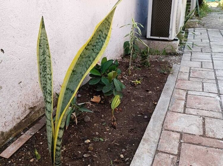 호스텔 El Costeñito Hostal