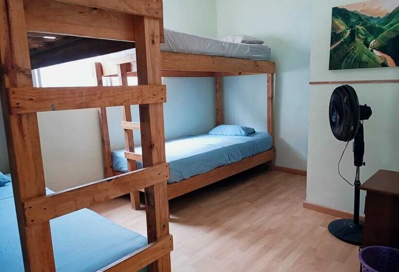 호스텔 El Costeñito Hostal