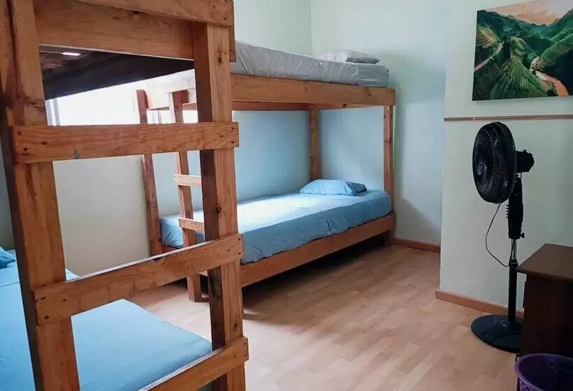 هاستل El Costeñito Hostal