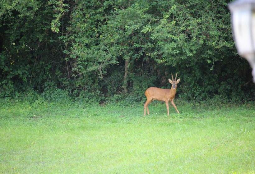 مبيت وإفطار La Maison Thimadaise