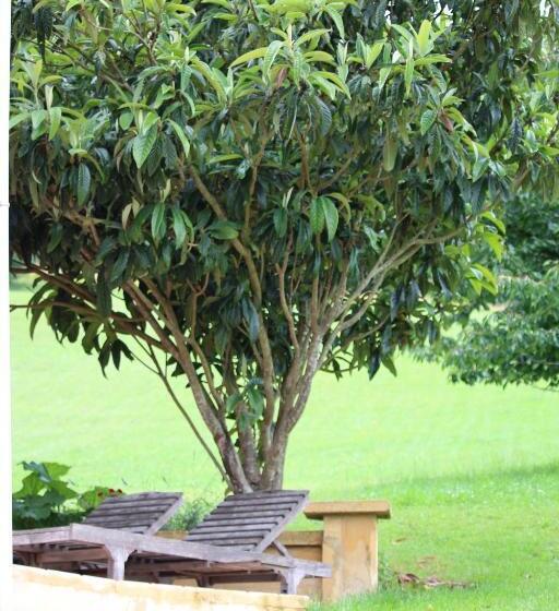 مبيت وإفطار La Maison Thimadaise