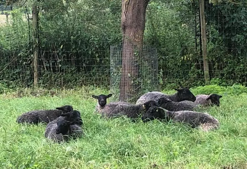 Cottage On Unique Farm