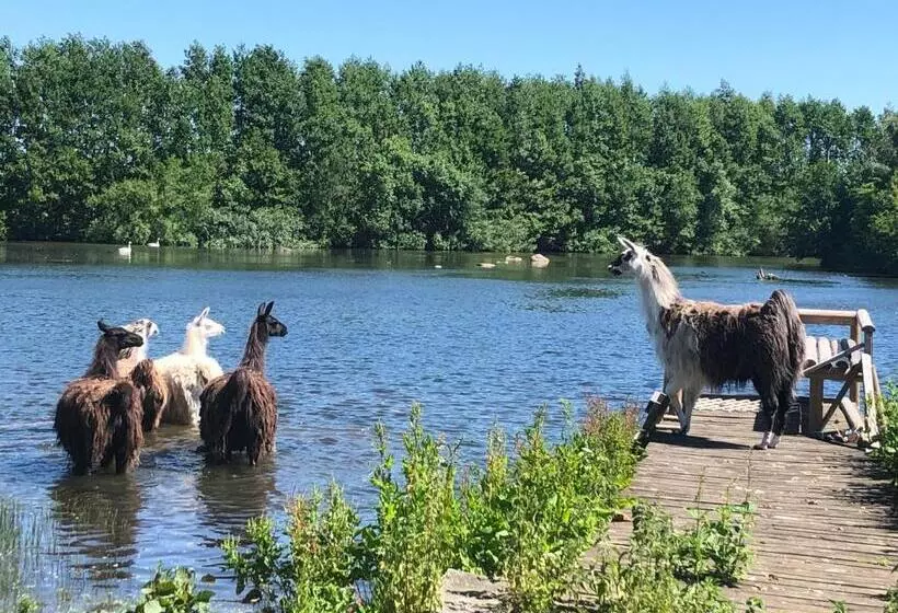 Cottage On Unique Farm