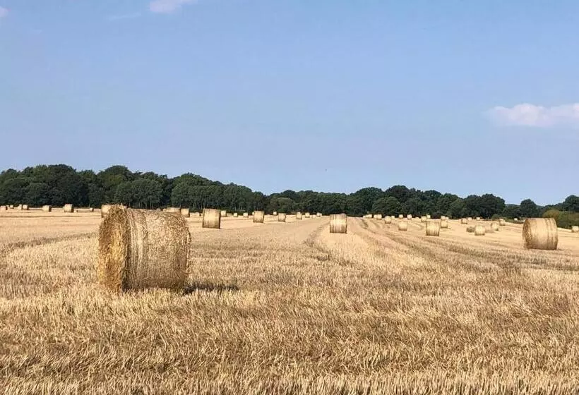 Cottage On Unique Farm