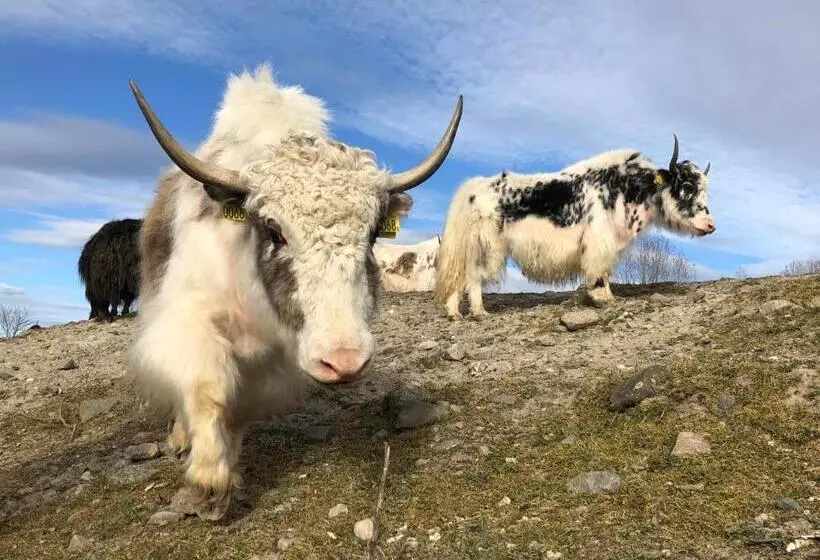 Cottage On Unique Farm