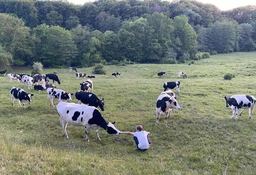 Cottage On Unique Farm