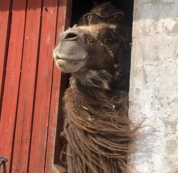 Cottage On Unique Farm