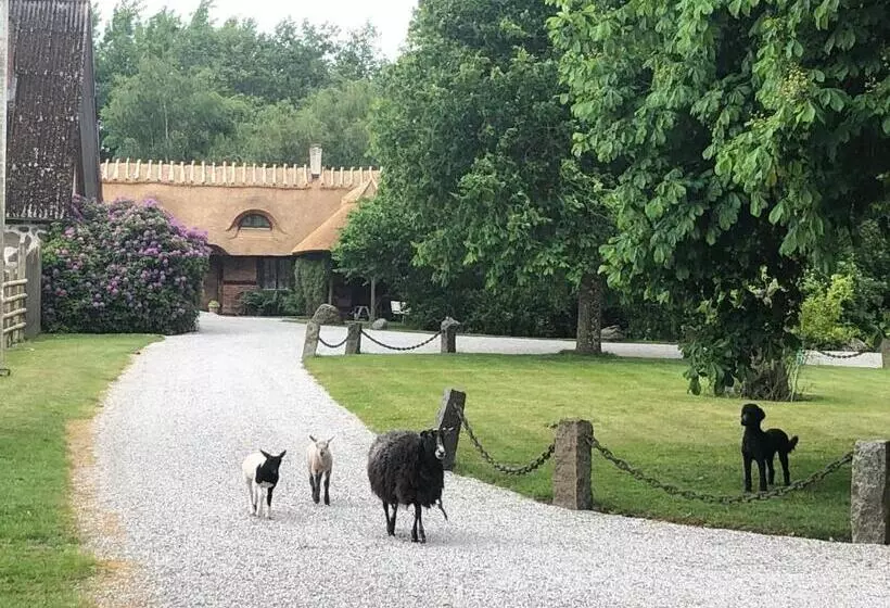 Cottage On Unique Farm