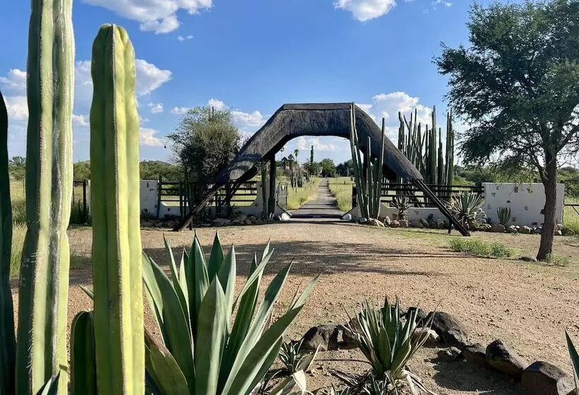 هتل Otjisazu Guest Farm