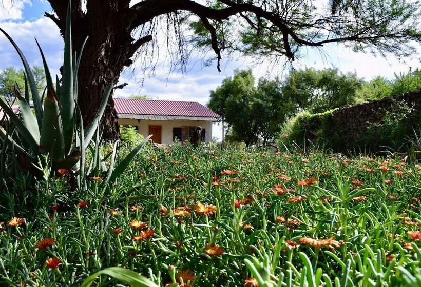 Отель Otjisazu Guest Farm