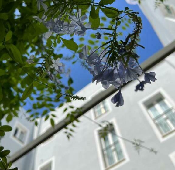 酒店 San Miguel Menorca