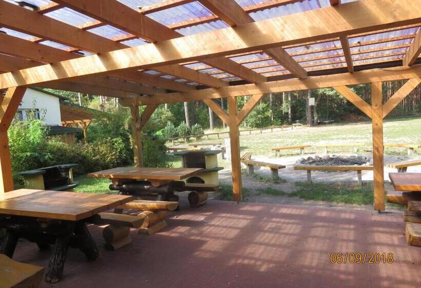 Общежитие Gruppenbungalow Waldhaus Am Ferienpark