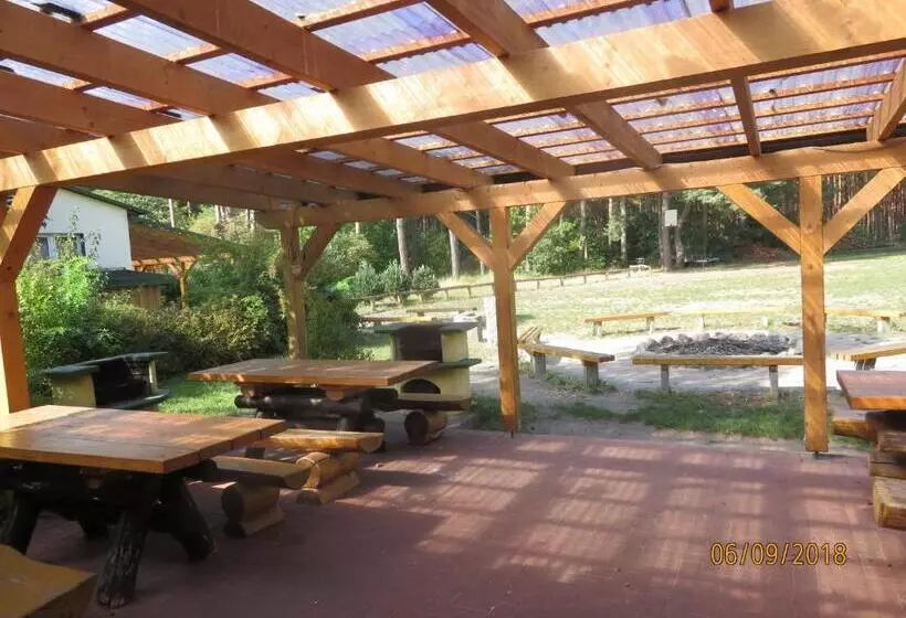 ユースホステル Gruppenbungalow Waldhaus Am Ferienpark