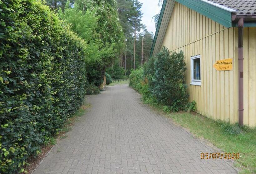 Общежитие Gruppenbungalow Waldhaus Am Ferienpark