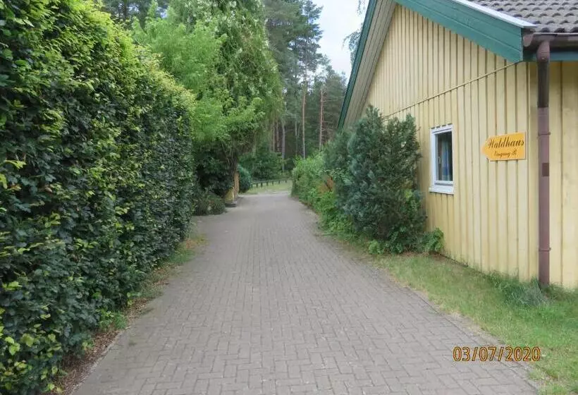 ユースホステル Gruppenbungalow Waldhaus Am Ferienpark