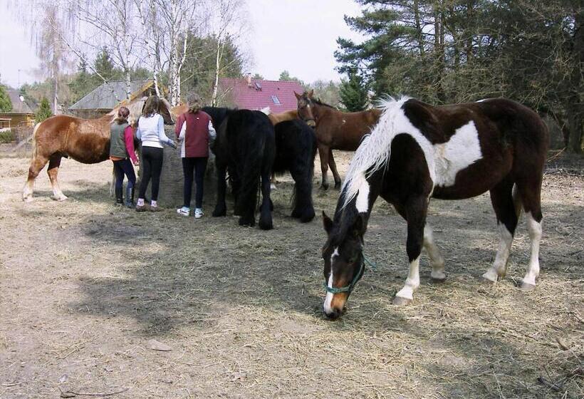 Общежитие Gruppenbungalow Waldhaus Am Ferienpark