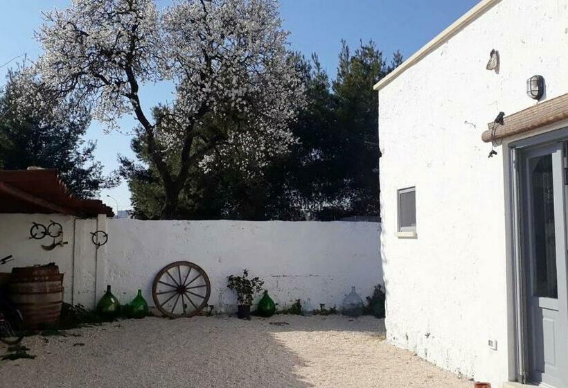 Bed and Breakfast La Controra