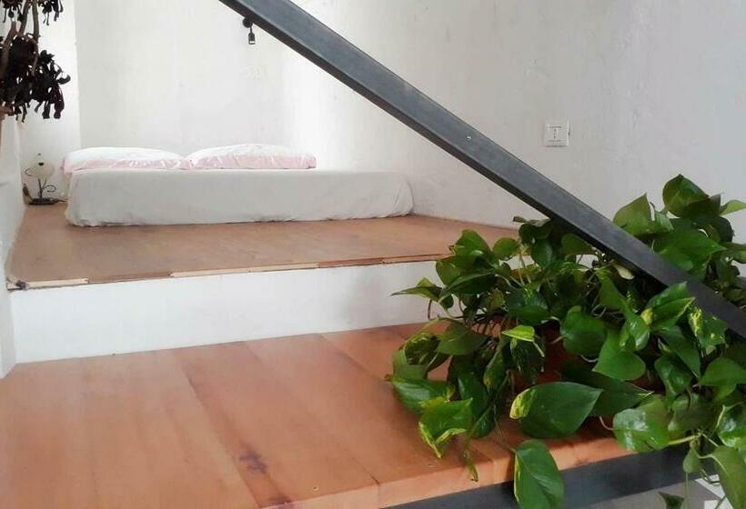 Bed and Breakfast La Controra