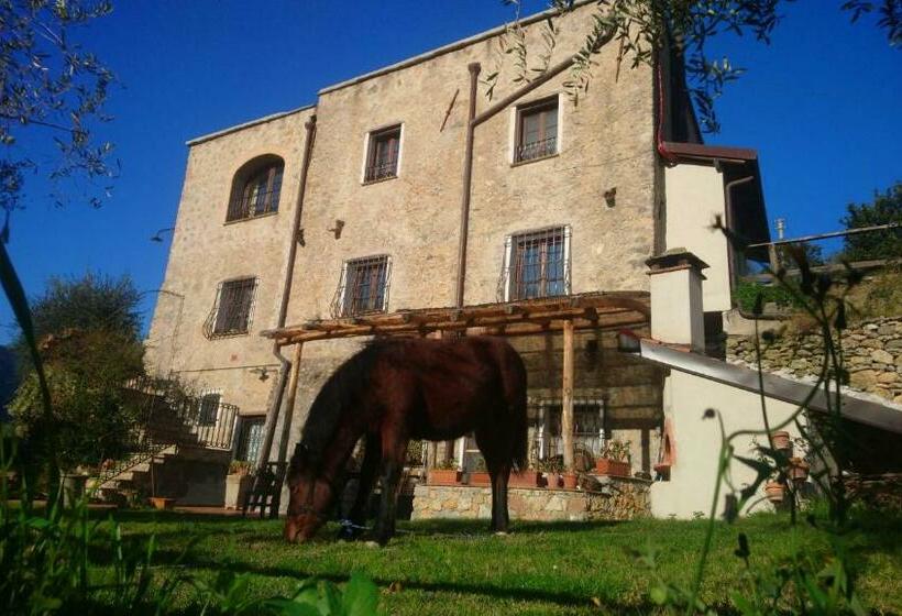 בית מלון כפרי Agriturismo Le Case Rotte