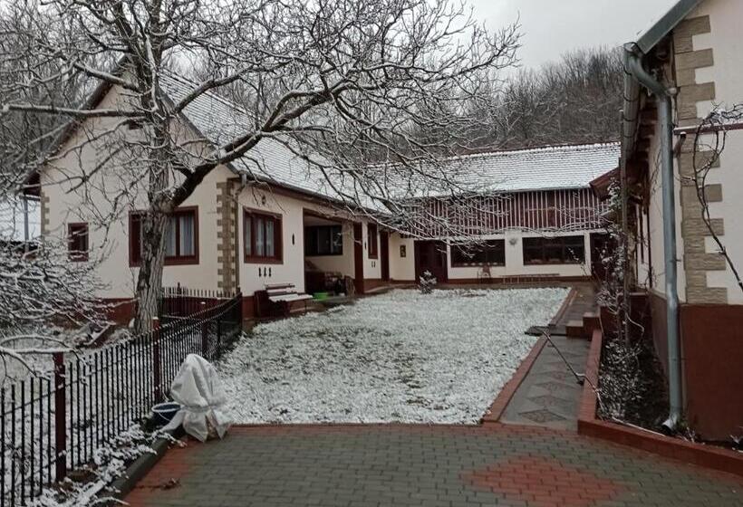 ペンション Casa Dragoi Din Socolari, Caras   Severin