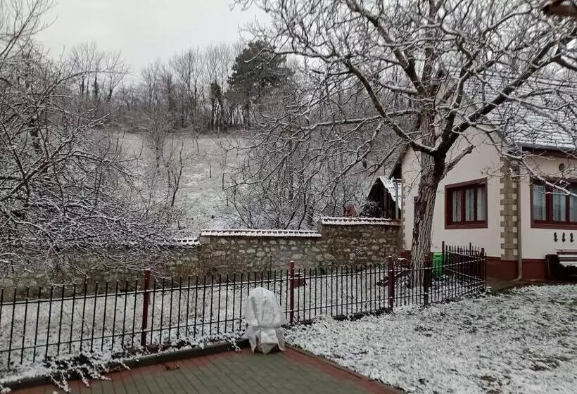 ペンション Casa Dragoi Din Socolari, Caras   Severin