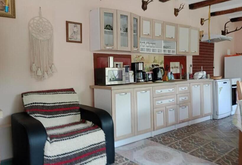 ペンション Casa Dragoi Din Socolari, Caras   Severin