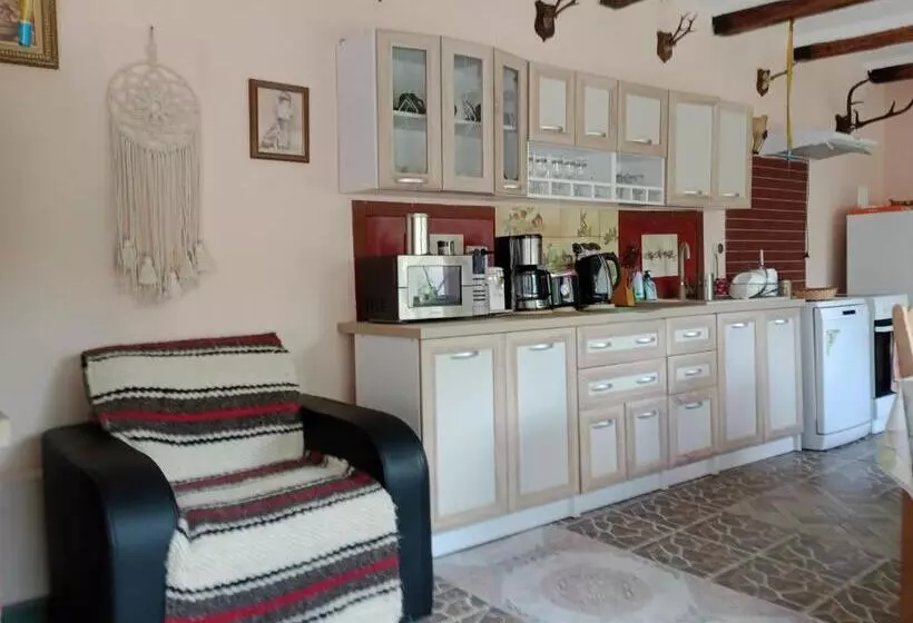 ペンション Casa Dragoi Din Socolari, Caras   Severin